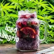 iced sangría triploid f1