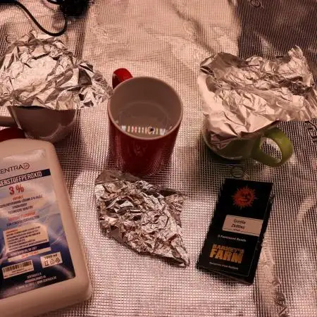 First Time Grower  (Gorilla Zkittles)