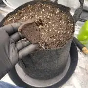 Frosteez Farmz Slurpeez Auto