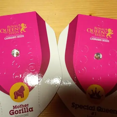 Queen Duo