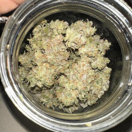 Lemon Mandarin- 42 fast buds