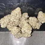 Pablo’s and MBR x GP