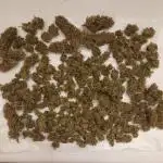 Favorite Skywalker OG