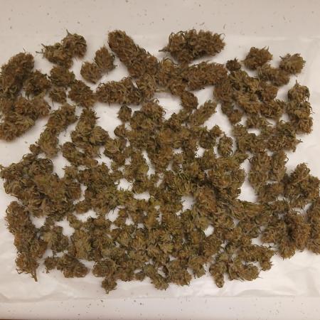 Favorite Skywalker OG