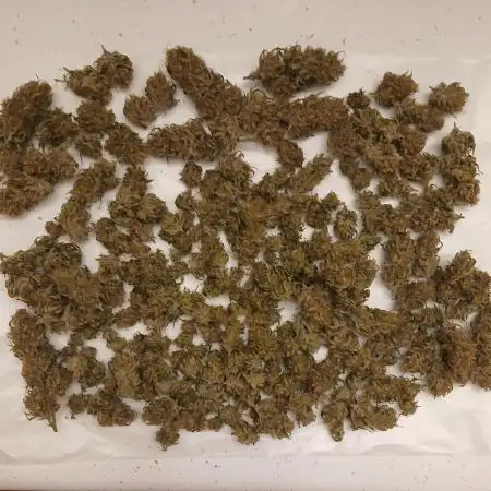 Favorite Skywalker OG