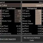 Lava Cake Automatic by Zamnesia