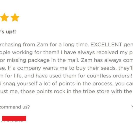 Lava Cake Automatic by Zamnesia