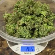 Lava Cake Automatic by Zamnesia