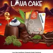 Lava Cake Automatic by Zamnesia