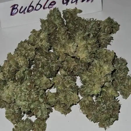 Full Report - Bubble Gum AUTO 1x