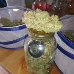 First grow 