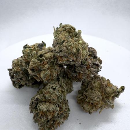 Baby Jockerz-Compound Genetics bajo