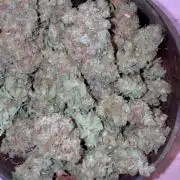 DWC Pineapple Kush (first try)