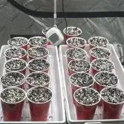 FIRST GROW 2026
