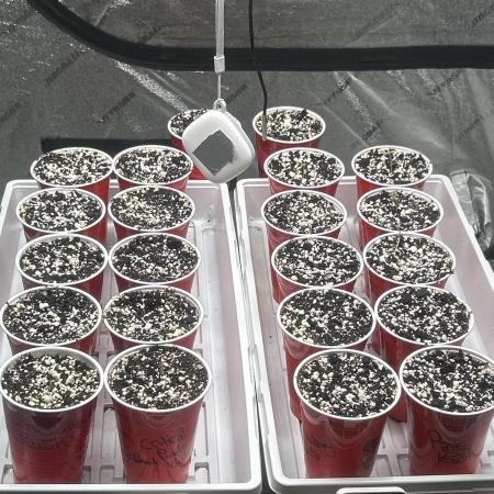 FIRST GROW 2026