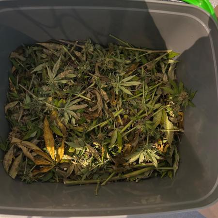 Fail - Astronaut Status #24