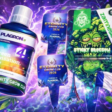 French Eternity Grow Cup 2026