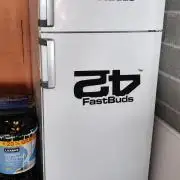 FastBuds Unreleased Champions Mix Auto