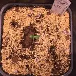 LSD Indoor
