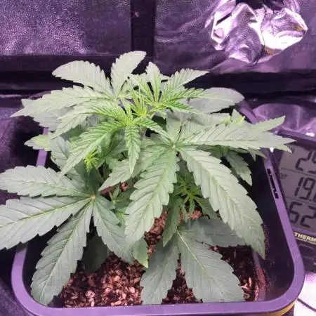 MandaRuntz Indoor