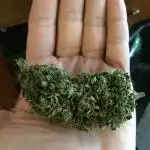 Strawberry cough