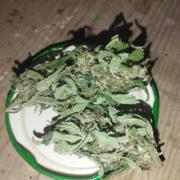 Speedy boom auto