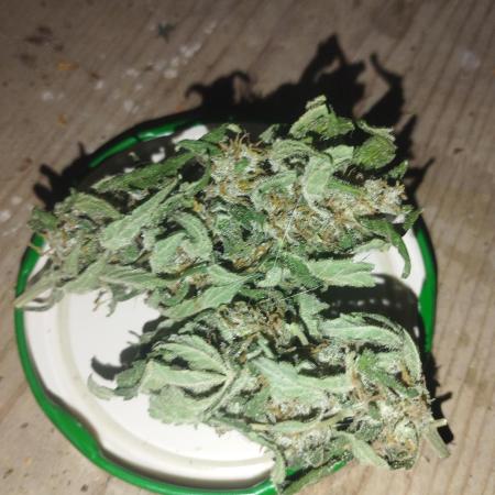 Speedy boom auto