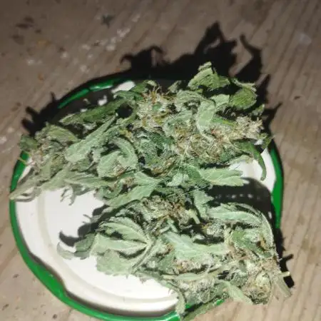 Speedy boom auto