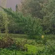 2026 Guerrilla Grow Minimal Effort