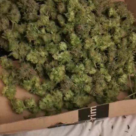 First time indoor automatics FastBuds - Z -UP