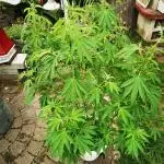 RS11 Outdoor Germany