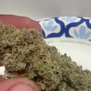 Mephisto - Golden O’z