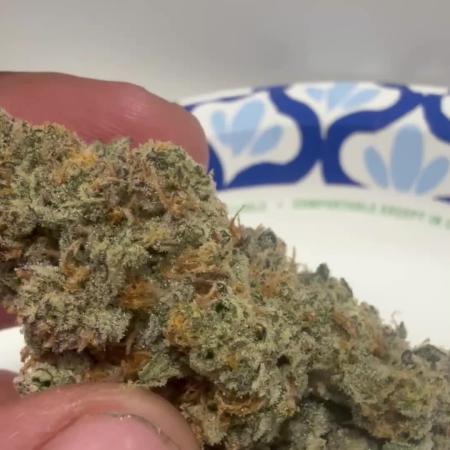 Mephisto - Golden O’z
