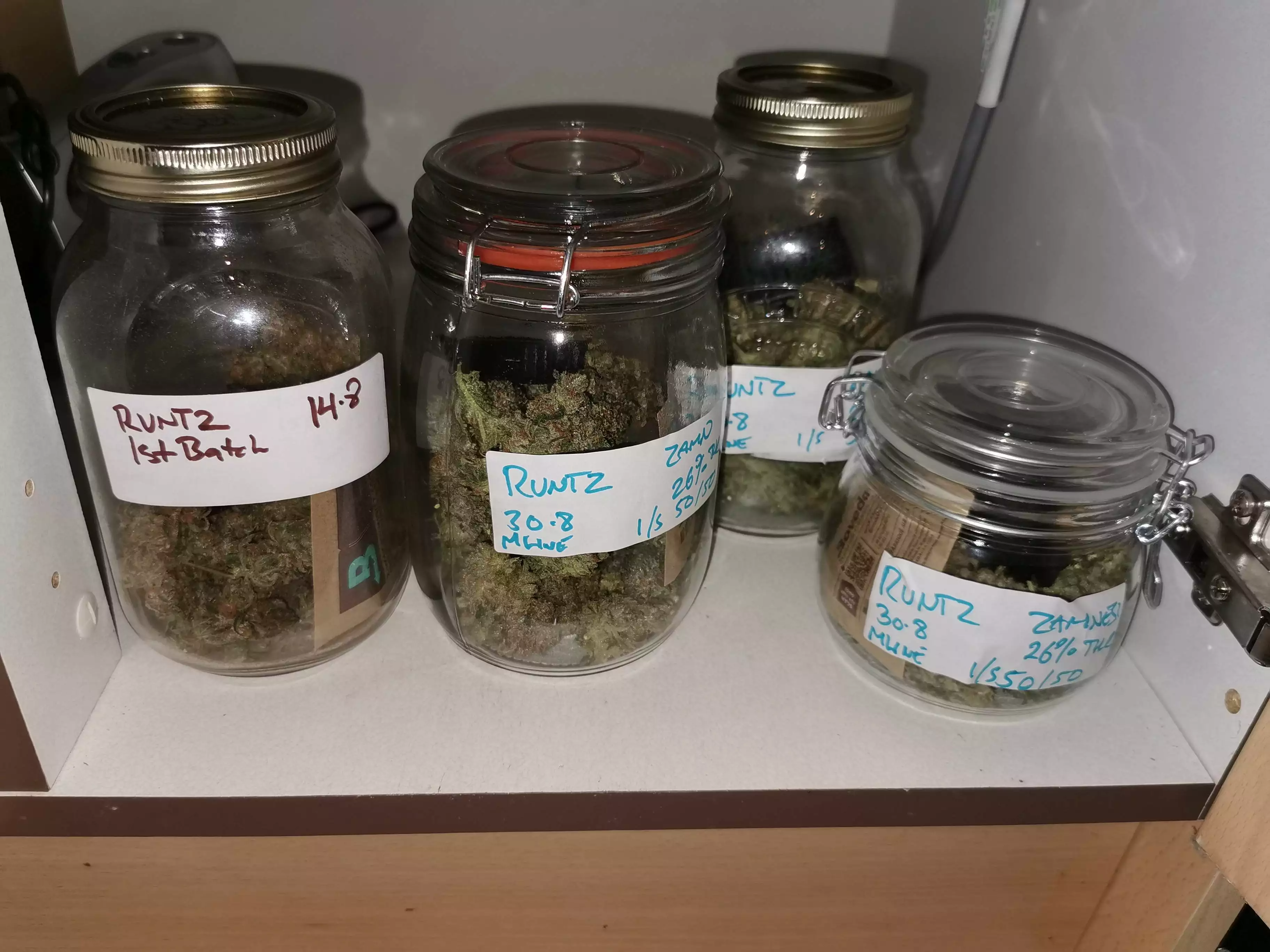 Monster Bud Mix / Zamnesia nutrient info - GrowDiaries