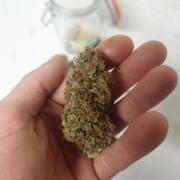 Sticky fruits