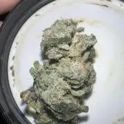 Mandarin cookies R3 Timelaps @ harvest