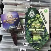 Sticky broccoli timelaps @ harvest