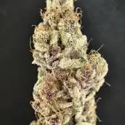 Tropicanna Banana & Runtz Muffin Aero