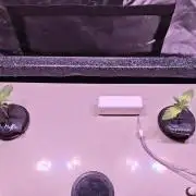 Tropicanna Banana & Runtt Muffin Aero