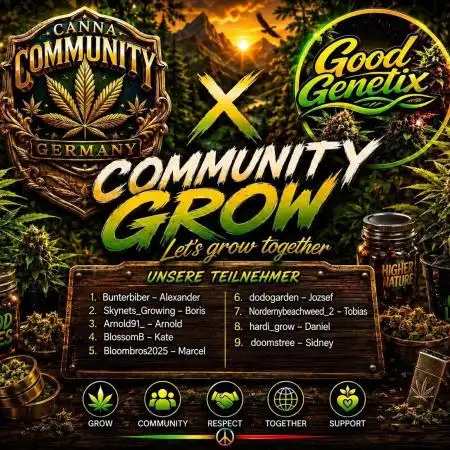 Super Boof Cherry FF - Good Genetix