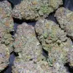 BUY MARIJUANA SEED,CARTS +1(402)235-6282