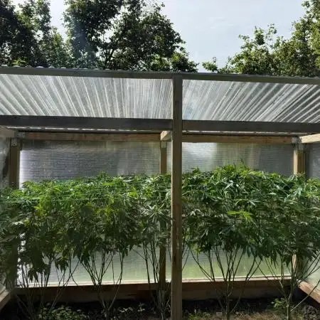2025 Outdoor/greenhouse
