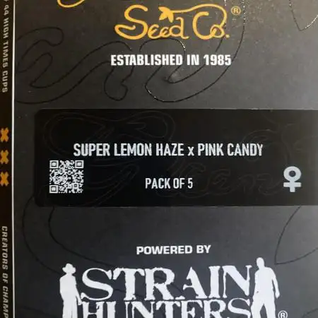 Super Lemon Haze x Pink Candy