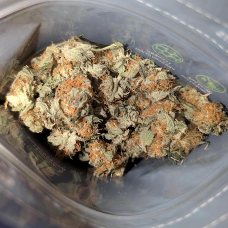 Gorilla gas fast F1 in Coco Coir