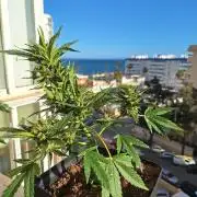 Quick Balcony getting back on