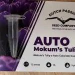 Auto Mokum attic window