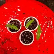Auto Seeds trio