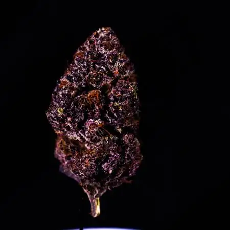 Fastbuds Mixed Pack (Photoperiod)