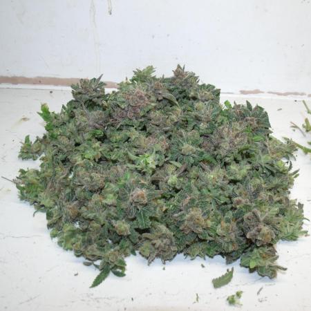 Unorthodox grow 1.3..soil.. plant #2....clone 2.1