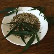 Pakistan Chitral Kush.Regular. Breeding